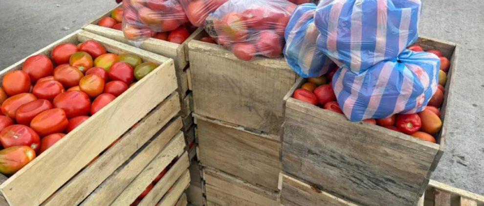 Existe una amplia oferta de tomate en el mercado de Santa Cruz