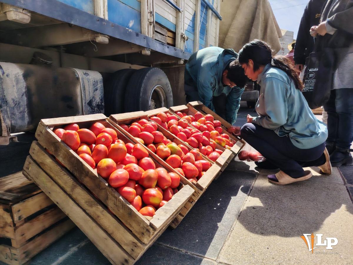 venta de tomates