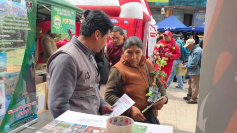 Feria ambiental