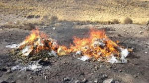 Imagen de la incineración