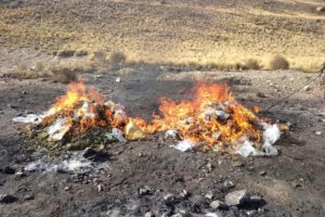 Imagen de la incineración