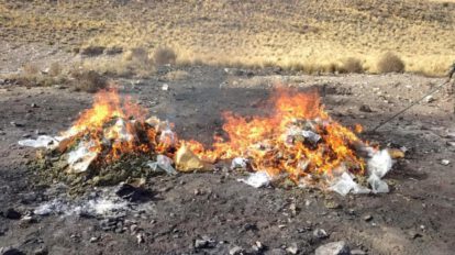 Imagen de la incineración