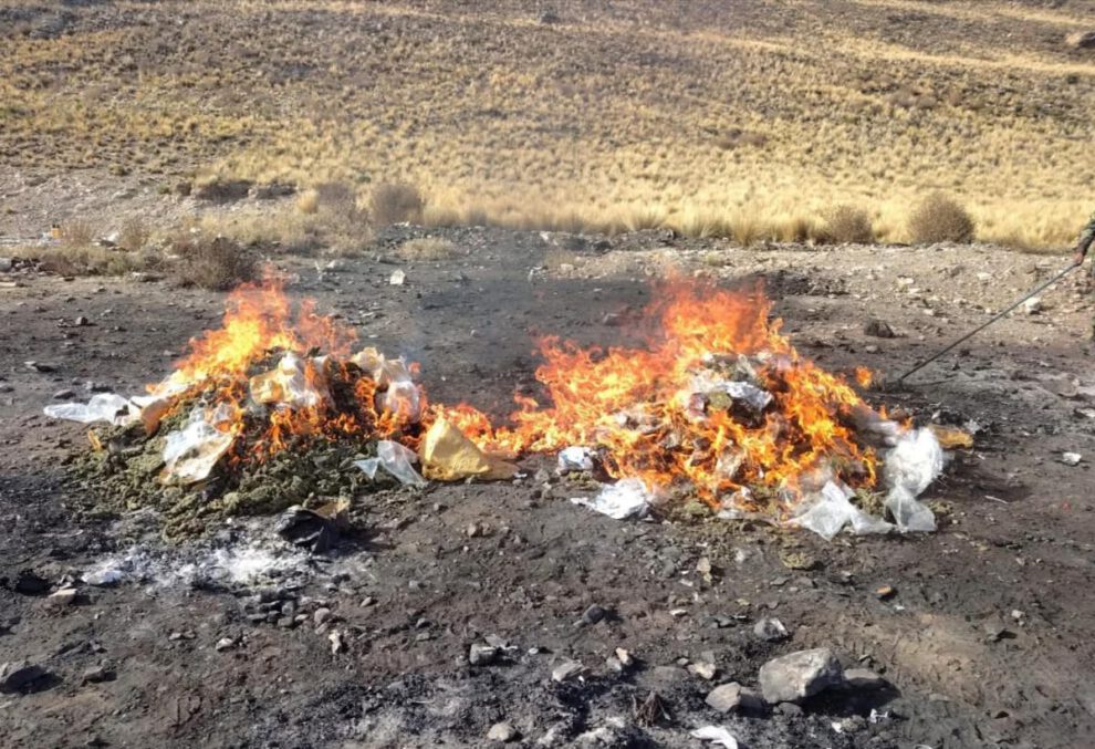 Imagen de la incineración