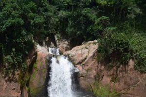 Dentro del área protegida se encuentra la cascada La Pauchenta