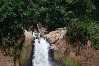 Dentro del área protegida se encuentra la cascada La Pauchenta