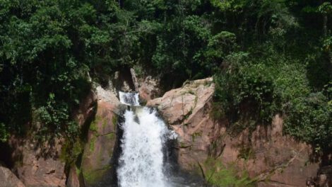 Dentro del área protegida se encuentra la cascada La Pauchenta