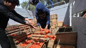 La crisis agricola afecta a varios deparatamengtos del país