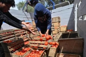 La crisis agricola afecta a varios deparatamengtos del país