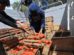 La crisis agricola afecta a varios deparatamengtos del país