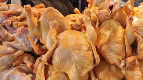Pollo a la vents
