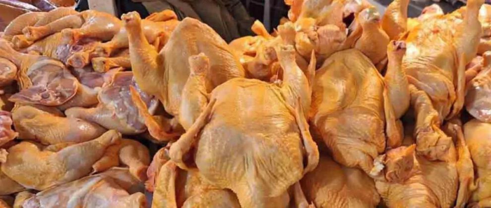 Pollo a la vents