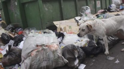basura
