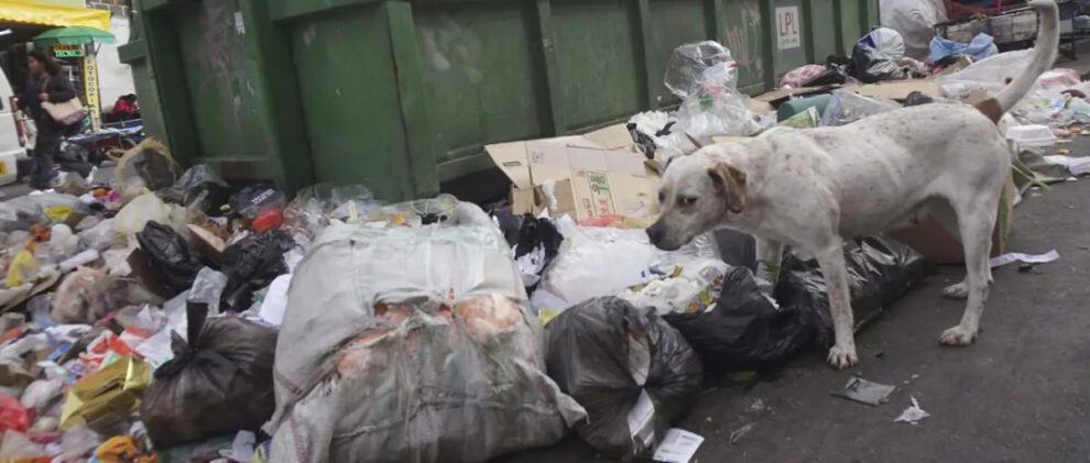 basura