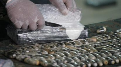 narcocapsulas