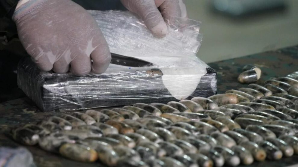 narcocapsulas