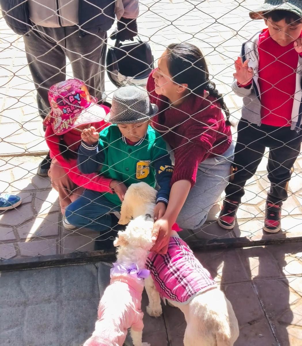 Jornada de adopción