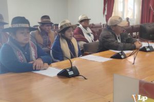 Representantes del distrito 6 de Caracollo