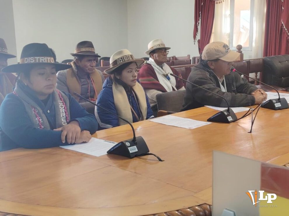 Representantes del distrito 6 de Caracollo