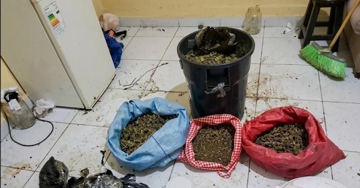 marihuana