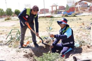 Ley ambiental