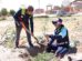 Ley ambiental