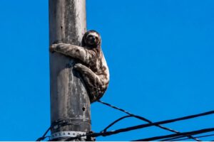 La escasez de combustible dificulta el despliegue de personal, vehículos y equipamiento especializado