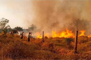 incendio forestal