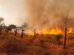 incendio forestal