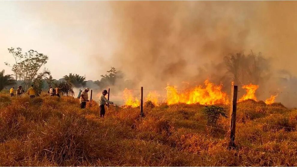 incendio forestal