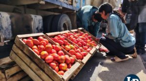 venta de tomates