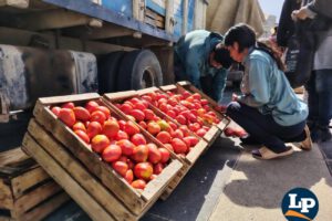 venta de tomates