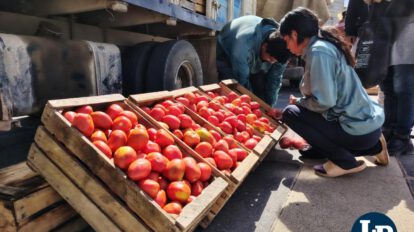 venta de tomates
