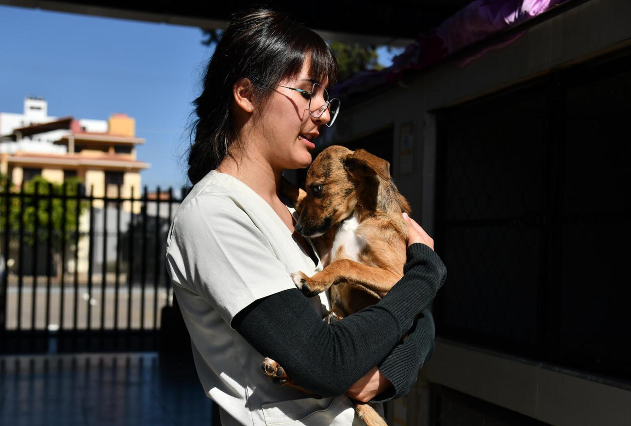 Una médico veterinaria fue captada al consentir a un perro