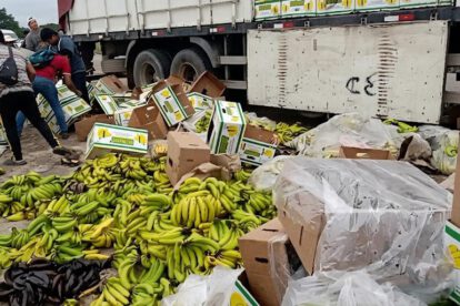 banano desechado