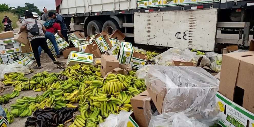 banano desechado