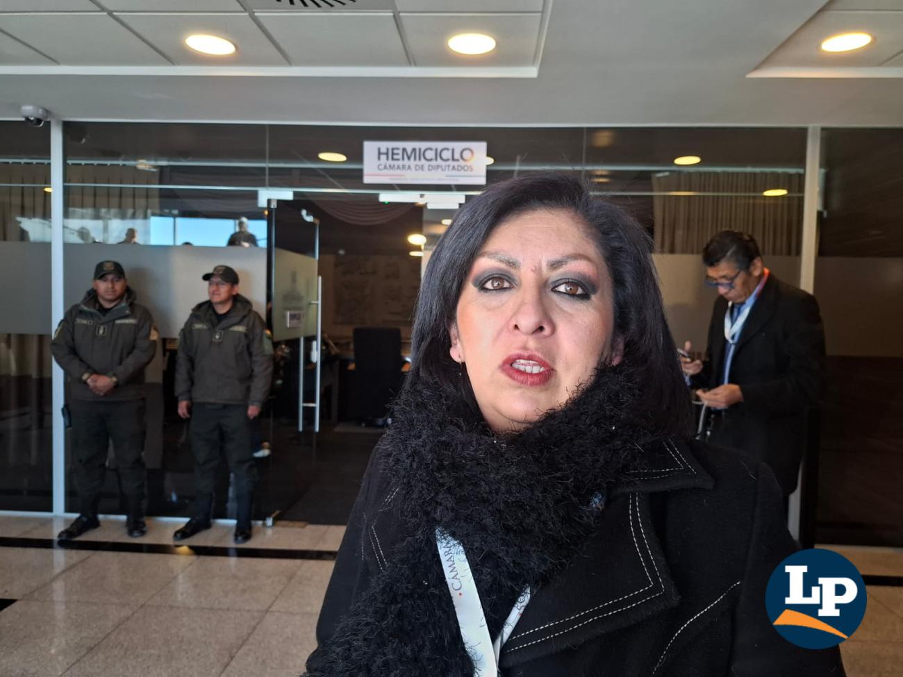 La diputada Ponce en conferencia de prensa