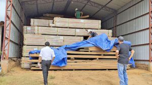 En Pando, la Fiscalía y la Policía realizaron allanamientos en empresas aserradoras.