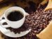 cafe boliviano