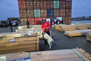 La Policía Marítima dependiente de la Armada de Chile y el Servicio Nacional de Aduanas de Chile, registró la incautación de 1.080,8 toneladas de maderas impregnadas