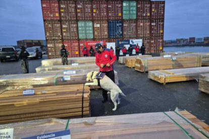 La Policía Marítima dependiente de la Armada de Chile y el Servicio Nacional de Aduanas de Chile, registró la incautación de 1.080,8 toneladas de maderas impregnadas