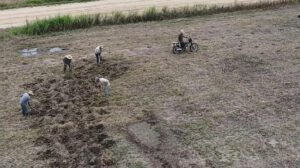 Avasalladores sembrando en el predio Santa Rita