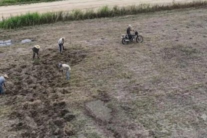 Avasalladores sembrando en el predio Santa Rita