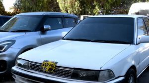 Los delincuentes son conocidos en el mundo del hampa como los “carga muñecos”.