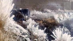 Medidores de agua