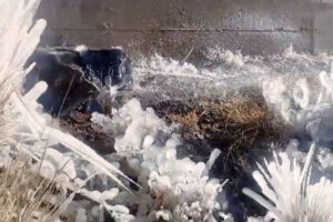 Medidores de agua