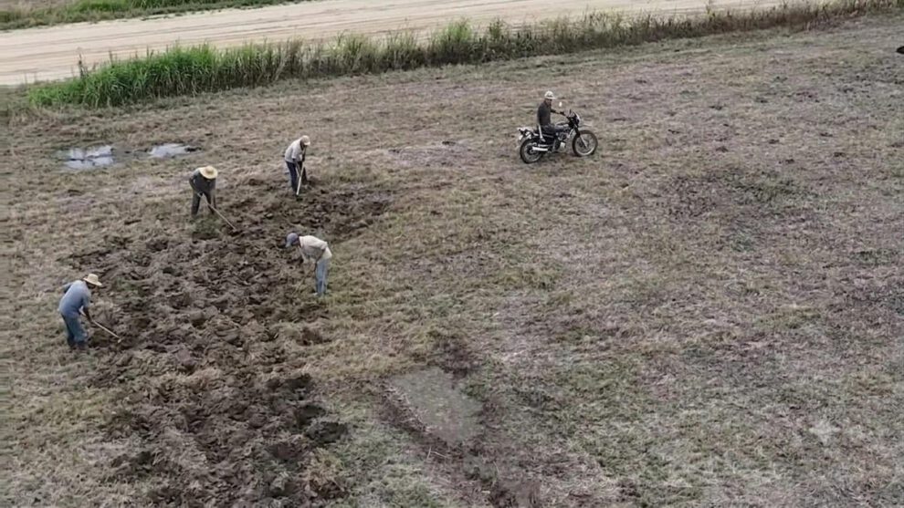 Avasalladores sembrando en el predio Santa Rita