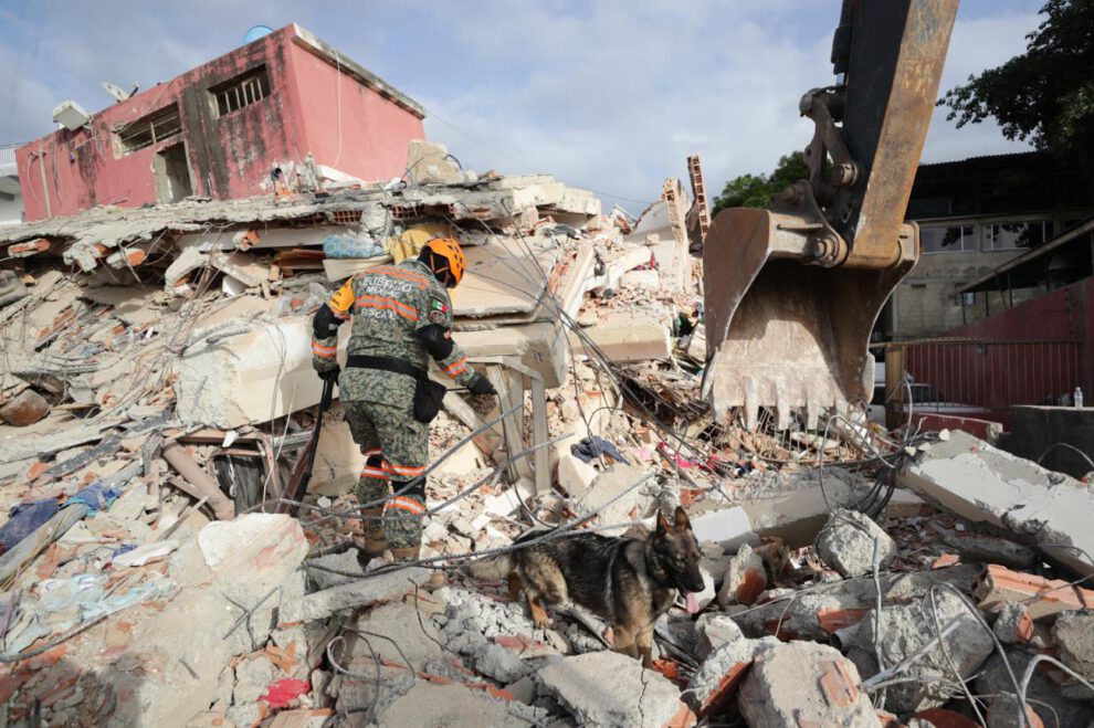 Un rescatista del Ejercito de México junto a su perro trabajan en un edificio afectado por los terremotos deñ pasado miércoles, en La Guaira (Venezuela).