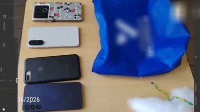 Investigación de pildoritas en Cochabamba