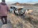 Accidente