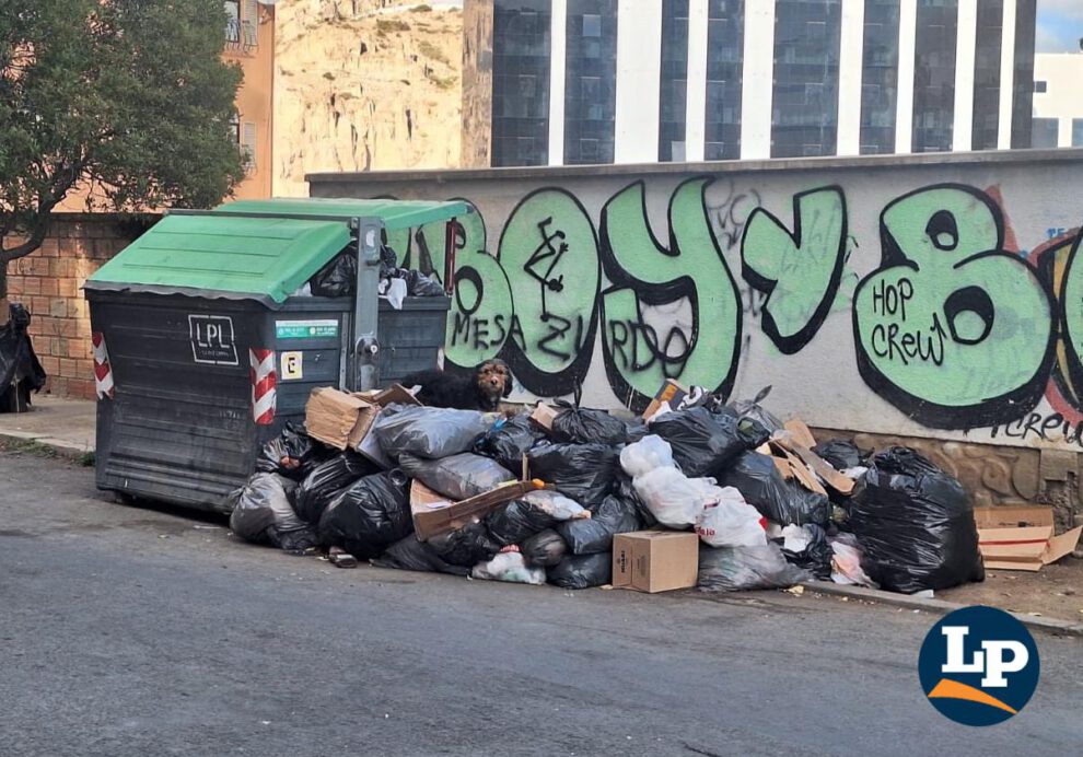 Durante los días de bloqueo la basura se acumuló en La Paz